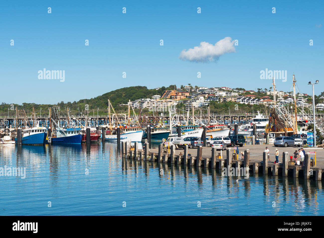 Coffs Harbour Marina aus Hammel Bird Island, Coffs Harbour, NSW, Australien gesehen. Stockfoto