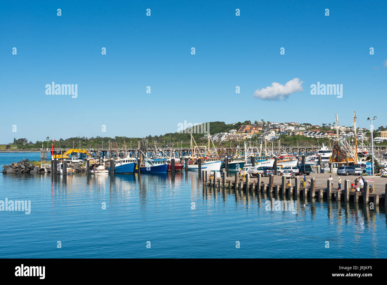 Coffs Harbour Marina aus Hammel Bird Island, Coffs Harbour, NSW, Australien gesehen. Stockfoto