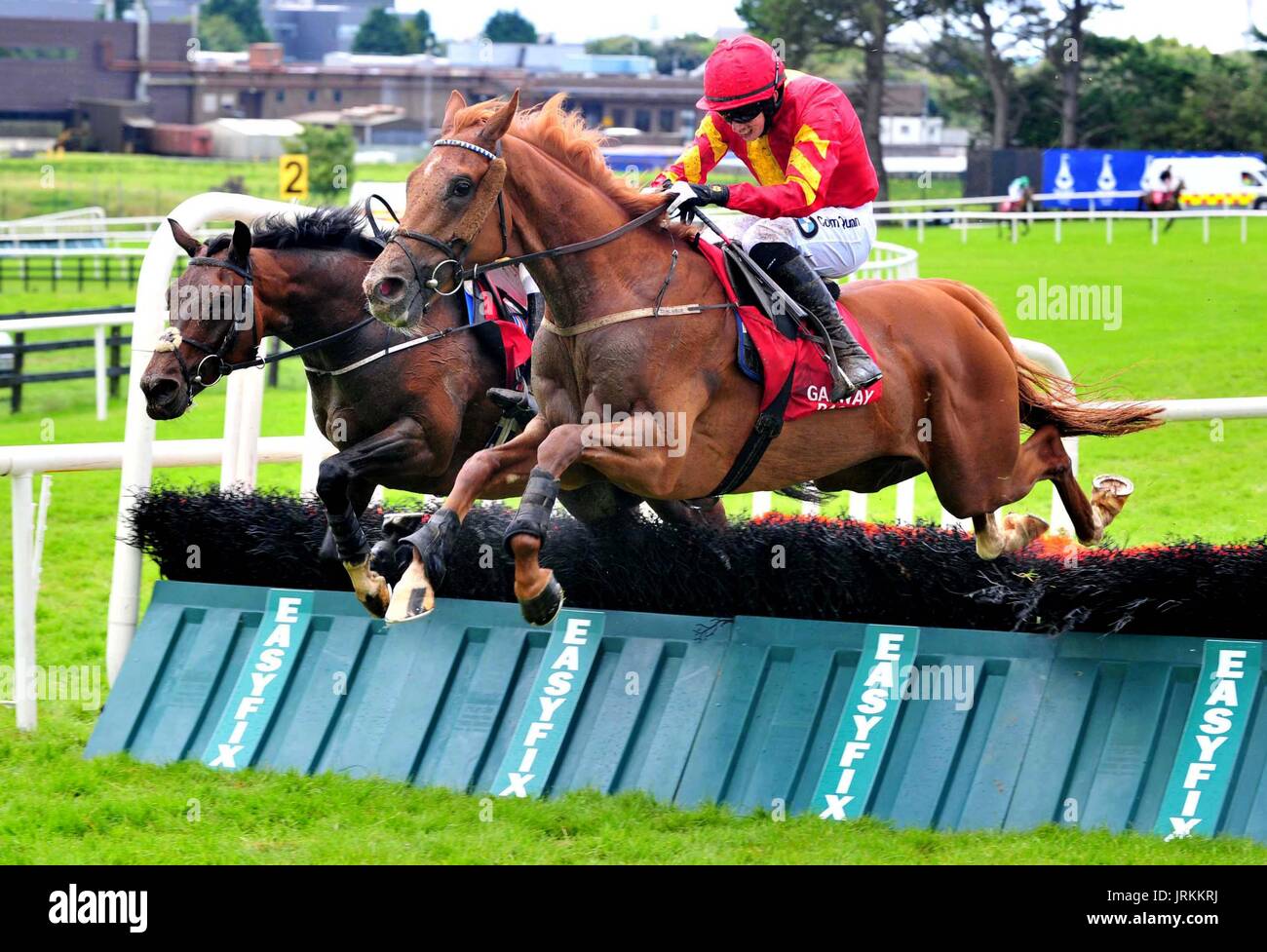Aydoun und Jockey Bryan Cooper gehen auf Sieg gewinnen O'Leary Versicherungen Maiden Hurdle während Super Samstag des Sommerfestivals Galway in Galway Racecourse. Stockfoto