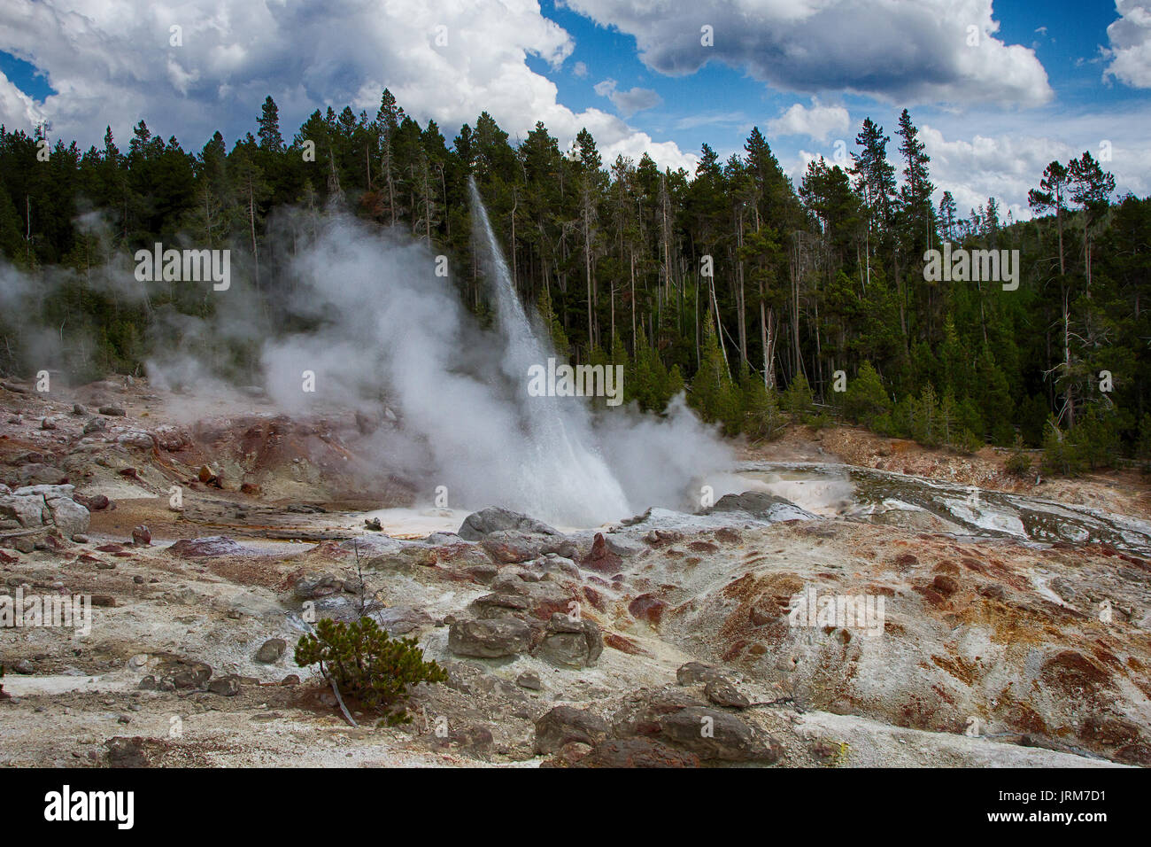 Steamboat Geyser, Yellowstone National Park Stockfoto