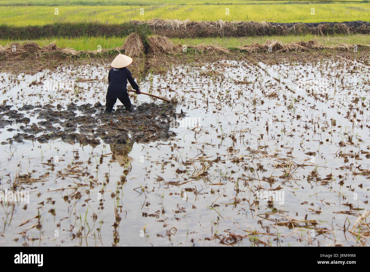 Haiduong, Vietnam, Dezember, 24: Frau Bauer der Arbeit auf dem Feld mit der Hacke in Dezember 24, 2014 in Hai Duong, Vietnam. Stockfoto