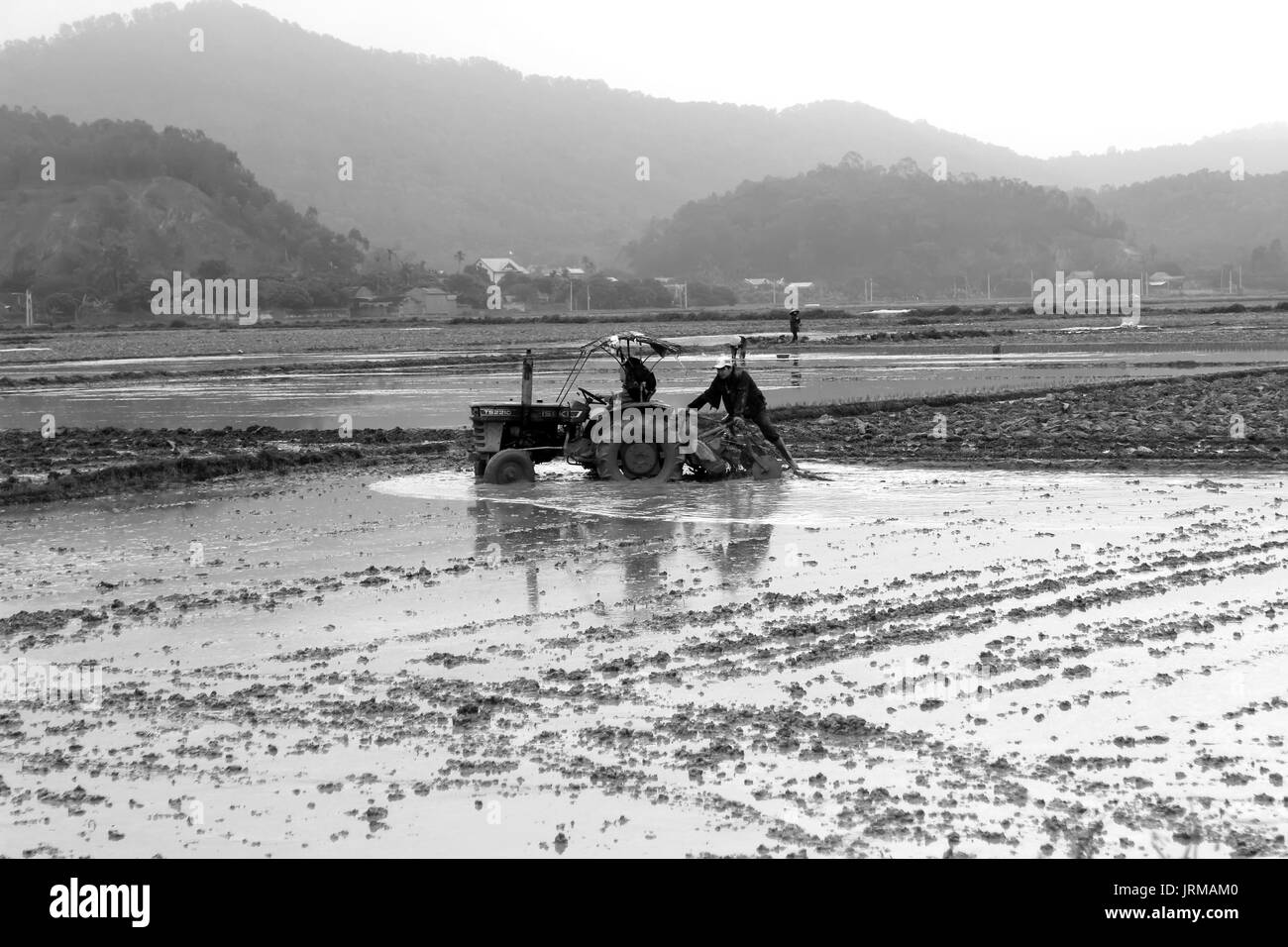 HAI DUONG, VIETNAM, Juni 10: Vietnam Bauern arbeitet in einem Reisfeld mit Traktor am 10. Juni 2013 in Hai Duong, Vietnam. Für viele Bauern Reis ist das m Stockfoto
