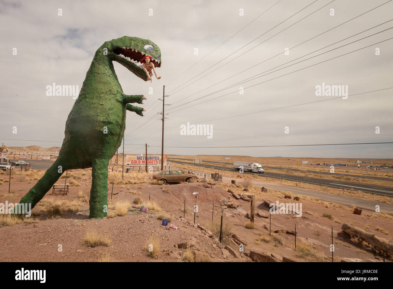 Riesige Dinosaurier Skulptur direkt an der Route 66 in Holbrook, Arizona, erstellt von Charles Stewart. Stockfoto