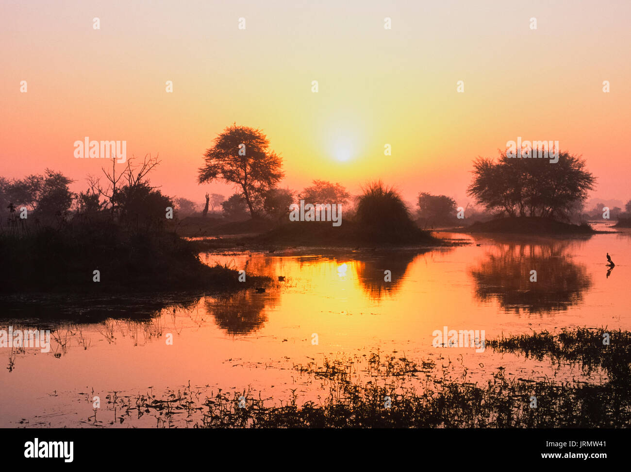 Wetland Reserve bei Sonnenaufgang, Keoladeo Ghana National Park, Bharatpur, Rajasthan, Indien Stockfoto