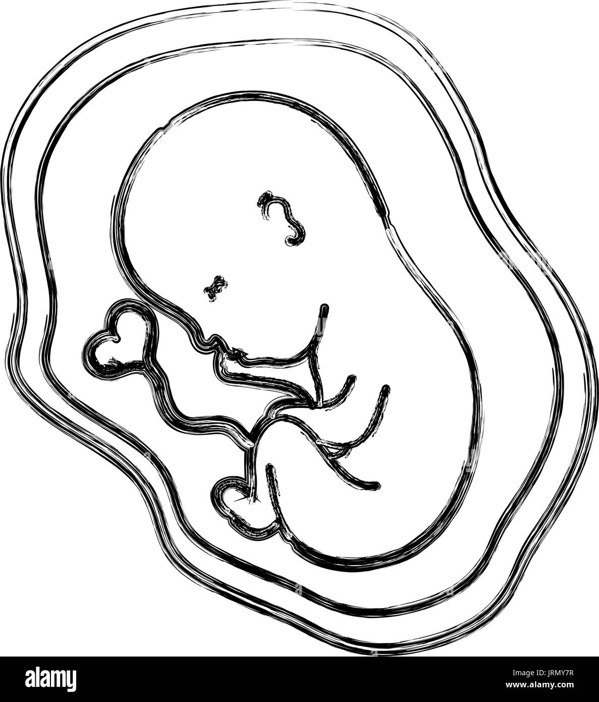 Abbildung Baby Mit Nabelschnur In Gebarmutter Stock Vektorgrafik Alamy