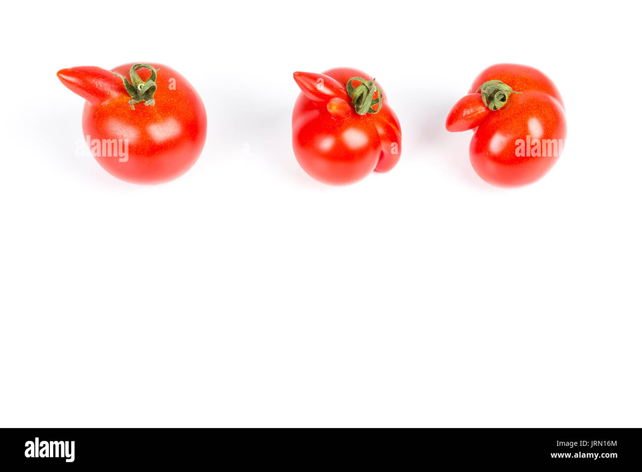 Verformte aberrante anormale anomale rote Tomaten auf einem weißen Hintergrund. Verformung durch kaltes Wetter während der Ovulation. Seltsame gewachsenen Formen mutiert Stockfoto
