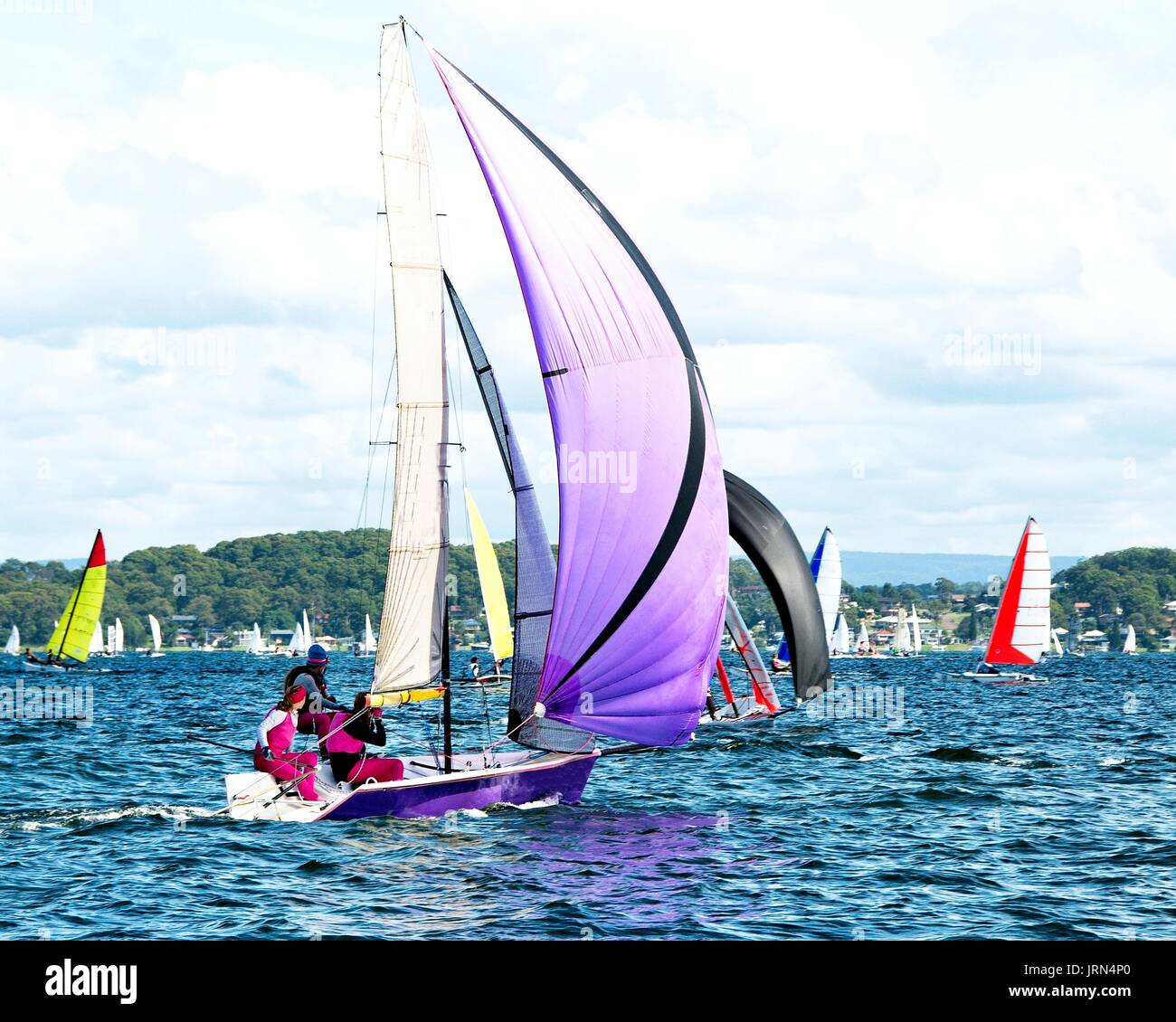 Kinder Segeln in der High School Segeln Meisterschaften. Belmont, Lake Macquarie, New South Wales, Australien. Stockfoto