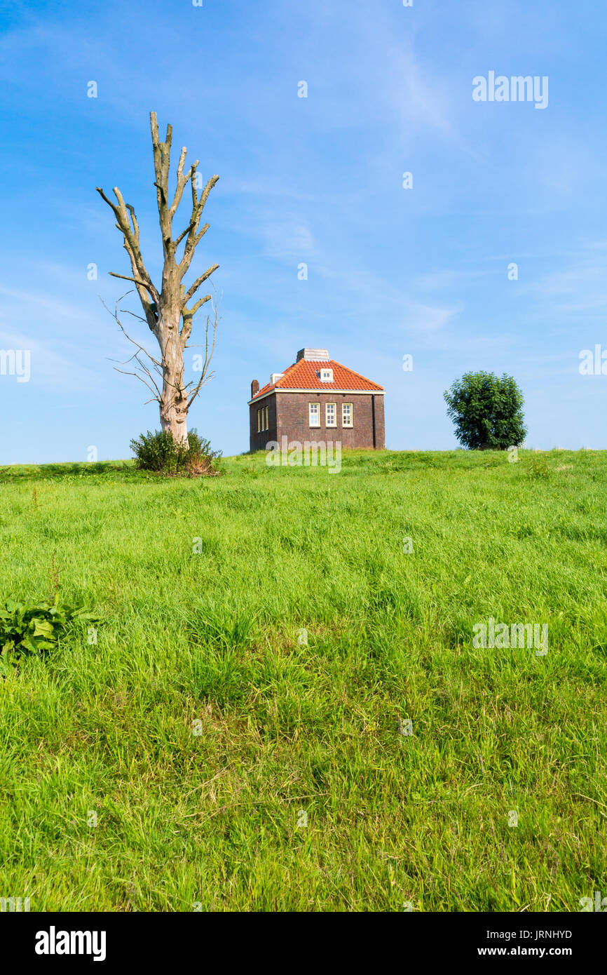 Kleine nebelhorn Haus und Stamm der toten Baum im alten Hafen von ehemaligen Insel Schokland, nordostpolder in der Provinz Flevoland, Niederlande Stockfoto