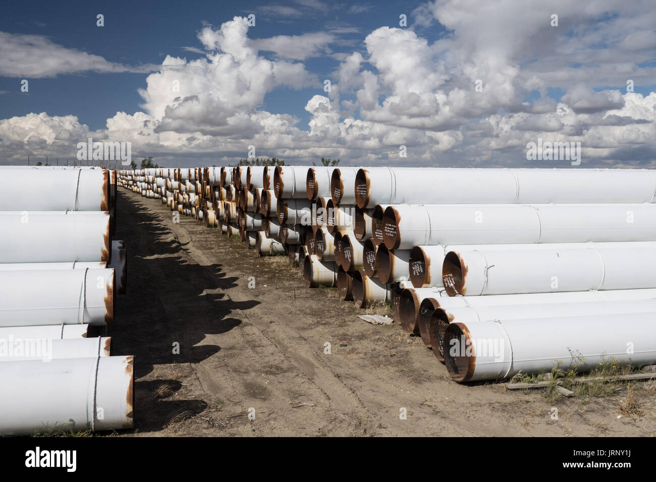 Shaunavon, Saskatchewan, Kanada. 26. August 2016. Stapel von gespeicherten 36-Zoll-Rohrleitung Rohr. Bildnachweis: Bayne Stanley/ZUMA Draht/Alamy Live-Nachrichten Stockfoto