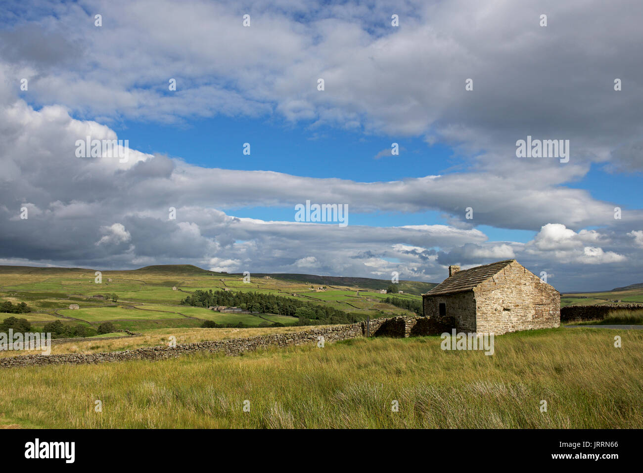 Scheune in Arkengarthdale, Yorkshire Dales National Park, North Yorkshire, England UK Stockfoto