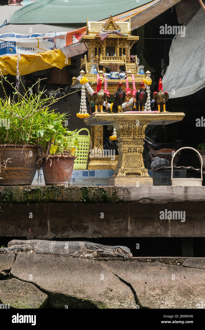 Ein Wasser-Monitor auf die Schritte neben einem Schrein am Eingang zu einem Waterside House auf dem Khlongs in Thonburi, Bangkok, Thailand ruhen Stockfoto