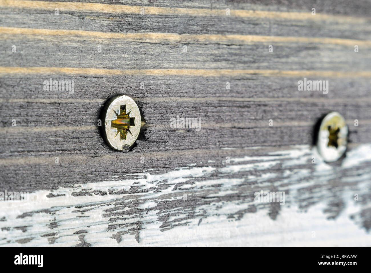 Die beiden Schraubenköpfe auf schmutzigen Dunkel lackiertem Holz Oberfläche. Makro Snapshot Stockfoto