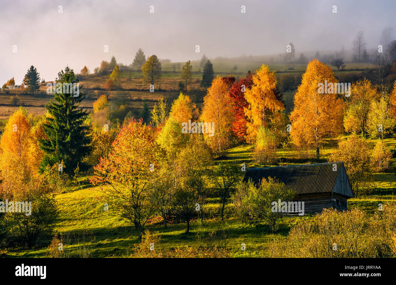 Holzhaus im Herbst Wald am Hang aufgegeben. malerische Nebel Sonnenaufgang mit gelben und roten Laub Stockfoto