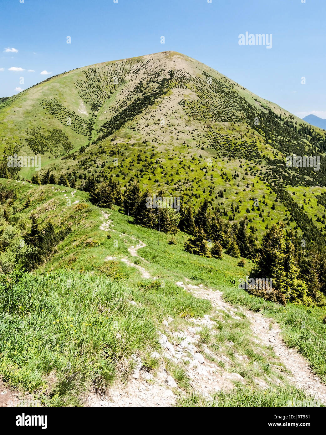 Blick auf Stoh Hill aus Poludnovy grün Hügel in Krivanska Mala Fatra Gebirge in der Slowakei während der schönen Tag mit blauen Himmel und nur ein paar kleine Wolken Stockfoto