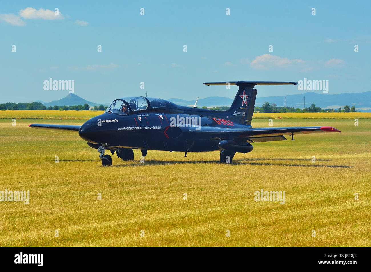 Memorial Airshow, 24. Juni 2017, Roudnice, Tschechische Republik. Tschechische L 29 erweiterte Jet traning Flugzeuge. Landung auf einem grasbewachsenen Flughafen. Stockfoto