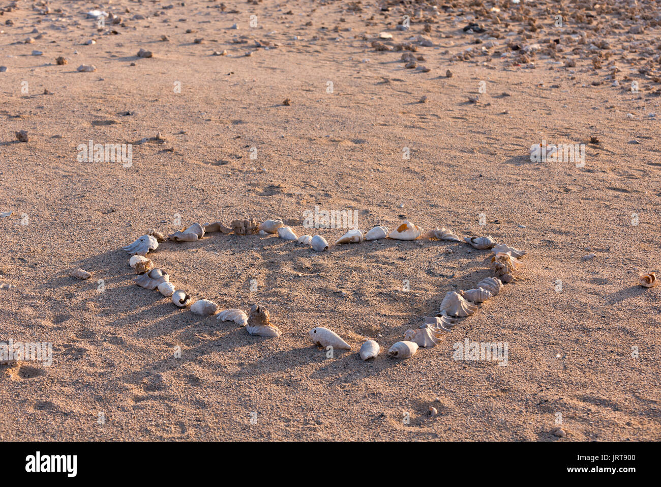 Muscheln, die Form eines Herzens am Strand Stockfoto