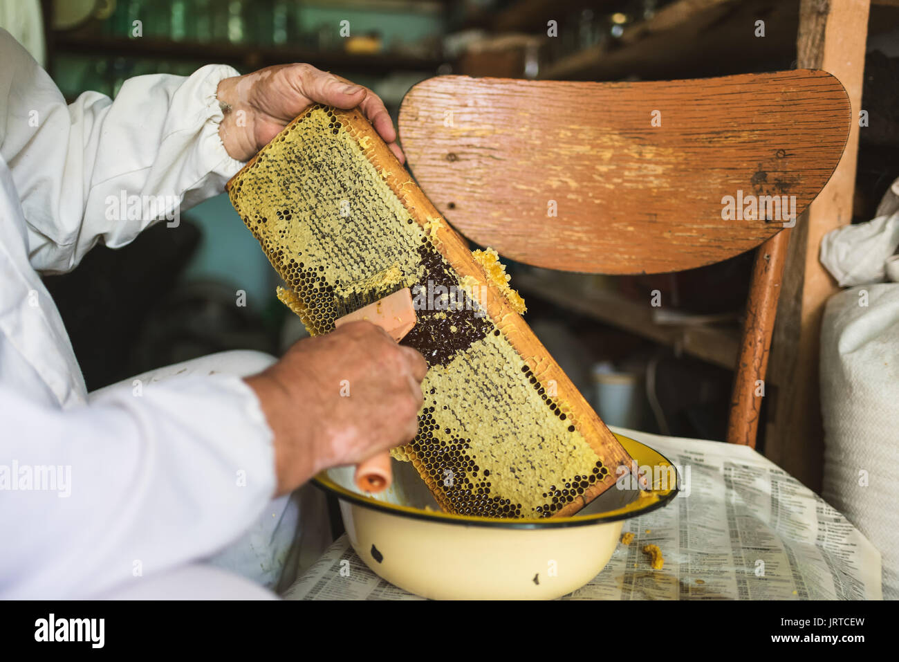 Imker bereitet Wabe Honig extrahieren. Bienenzucht Stockfoto