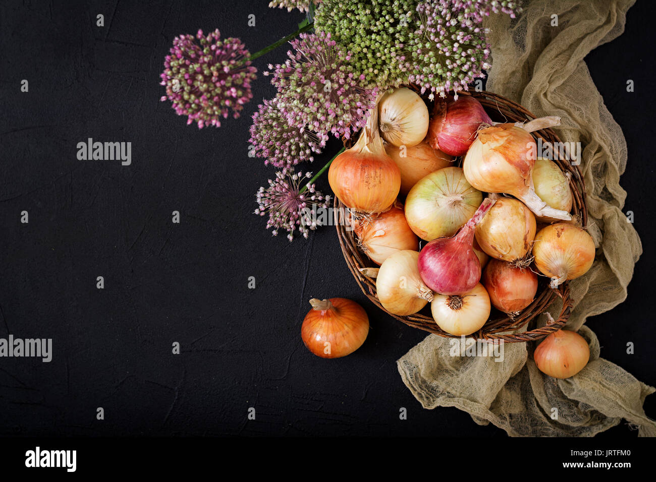 Frische junge Zwiebeln, Knollen und Zwiebeln Blüten. Flach. Ansicht von oben Stockfoto
