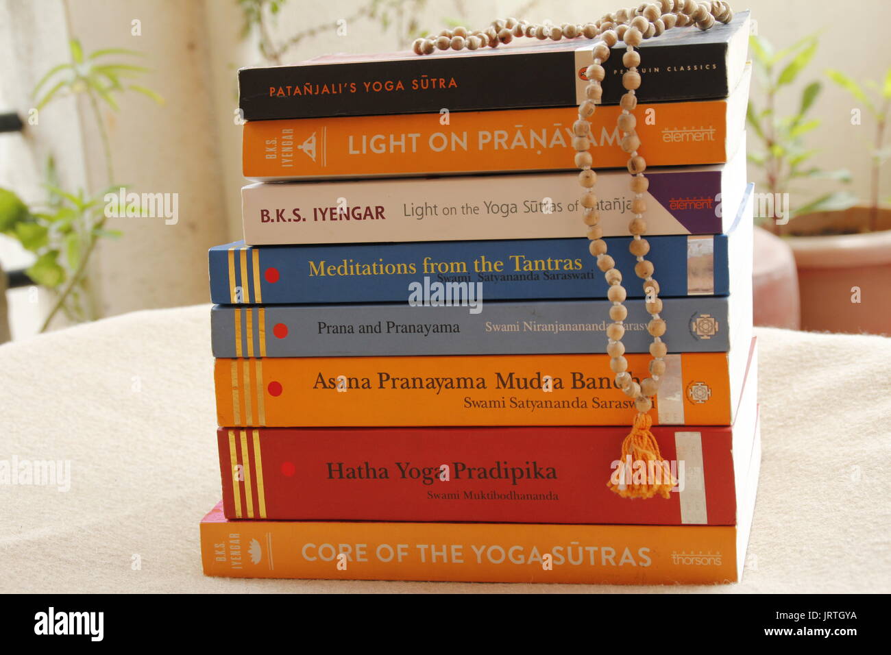 Bücher zu Yoga und Meditation. Yoga Yoga Literatur. Stockfoto