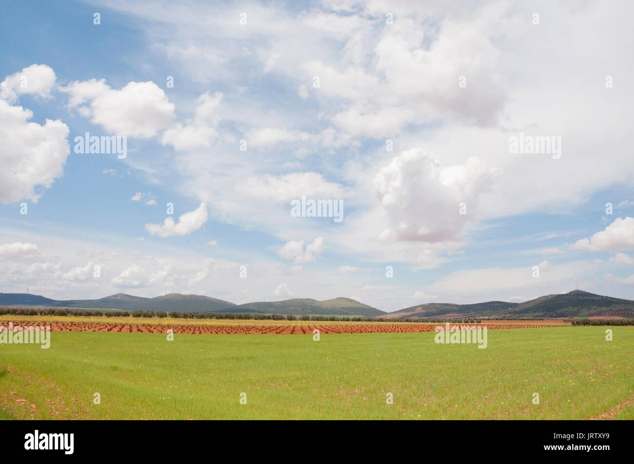 Anbau Feld. Campo de Montiel, Ciudad Real Provinz, Castilla La Mancha, Spanien. Stockfoto