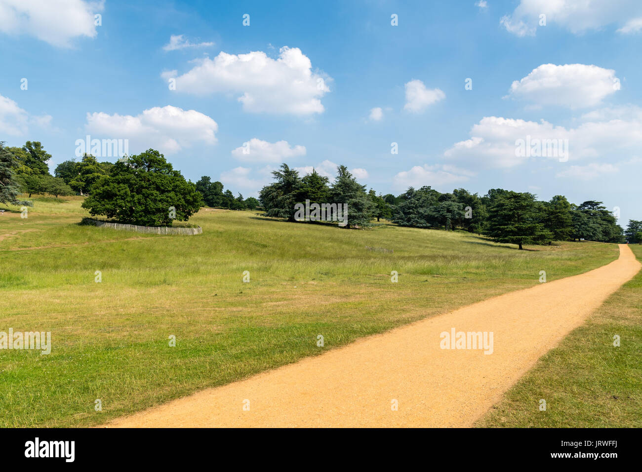 Richmond Park, London, England, UK Stockfoto