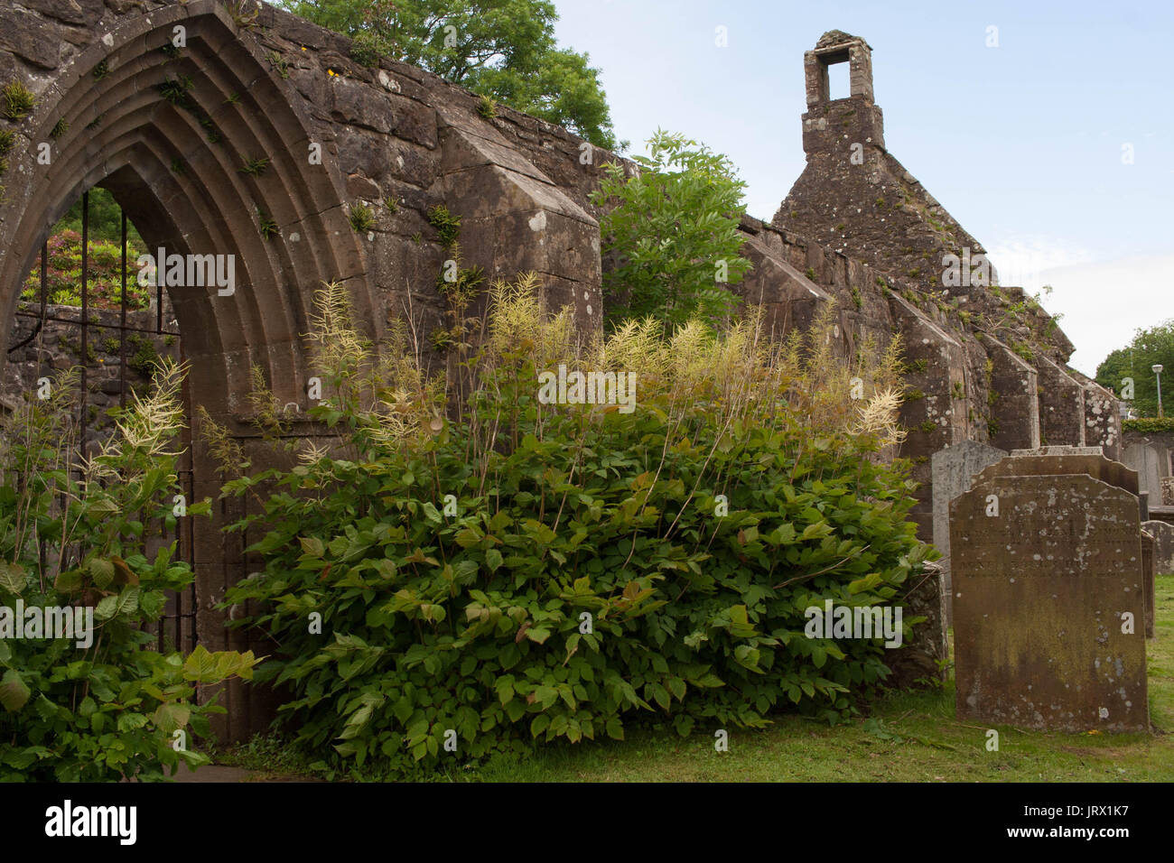 Alte Kirk, Kirkoswald, Ayreshire Stockfoto