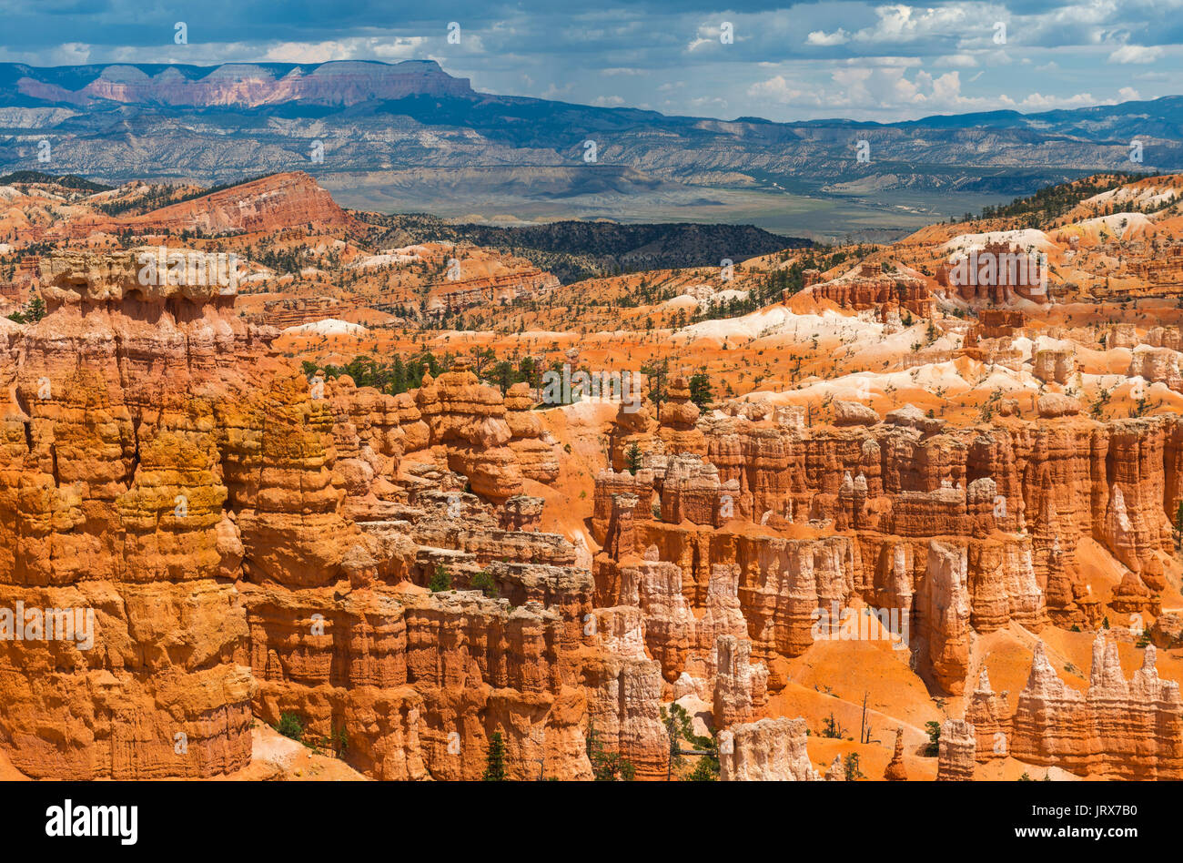 Hoodoo Sandstein Felsformationen und Landschaft des Bryce Canyon National Park im amerikanischen Bundesstaat Utah, Vereinigte Staaten von Amerika, USA. Stockfoto
