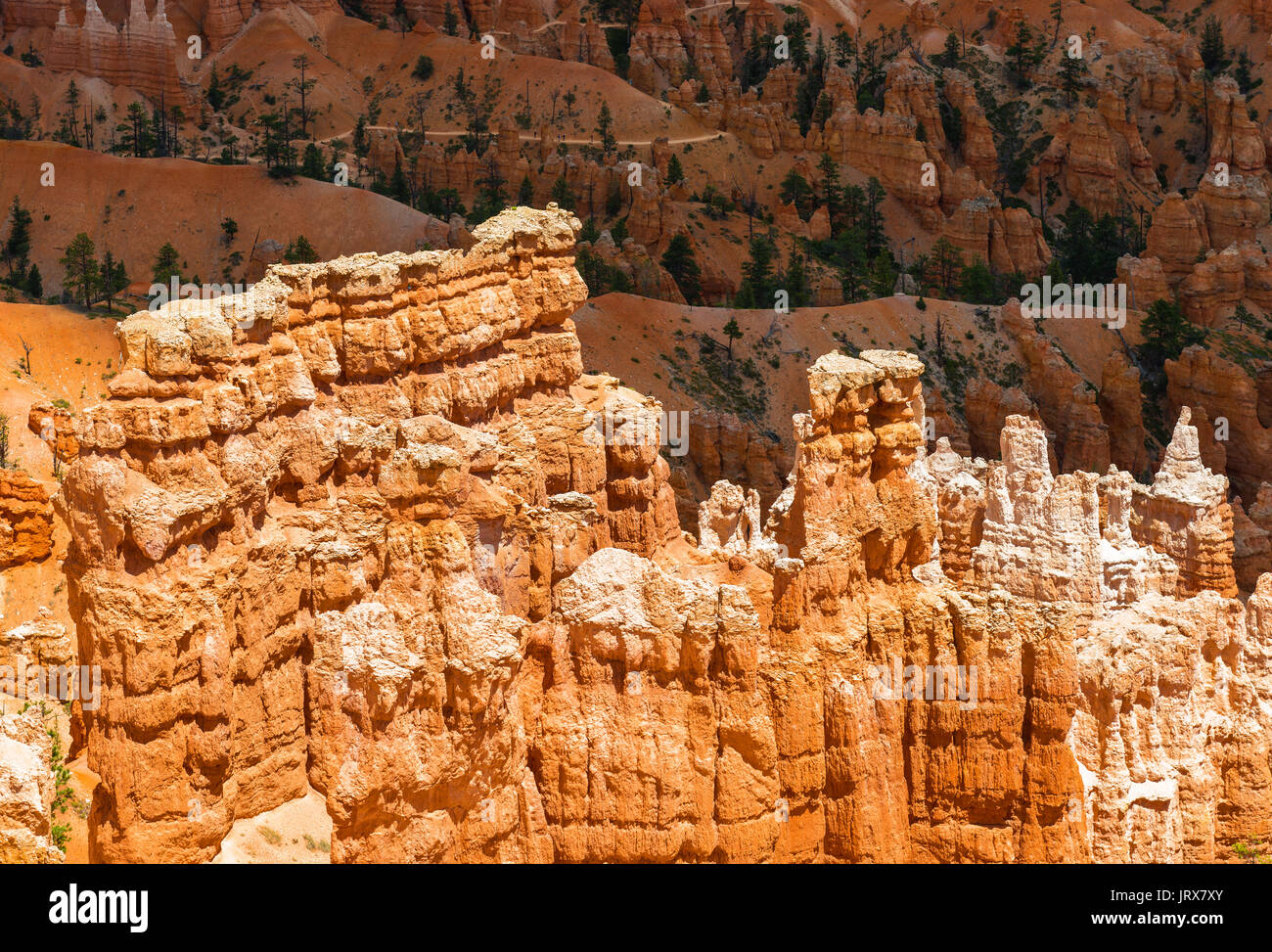 Detail der Hoodoo und Fenster Felsformationen im Schatten und Licht im Bryce Canyon National Park, Vereinigte Staaten von Amerika, USA. Stockfoto