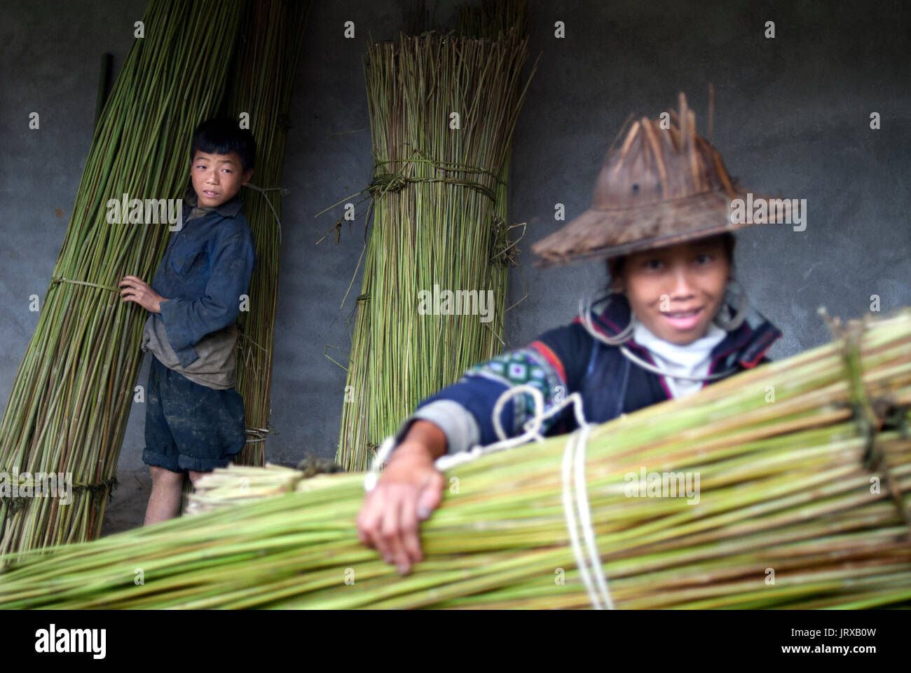Ein Junge tragen Bambus in der Weise von Sapa zu den nahe gelegenen Dörfern lao Chai und ta Van. Vietnam. Stockfoto
