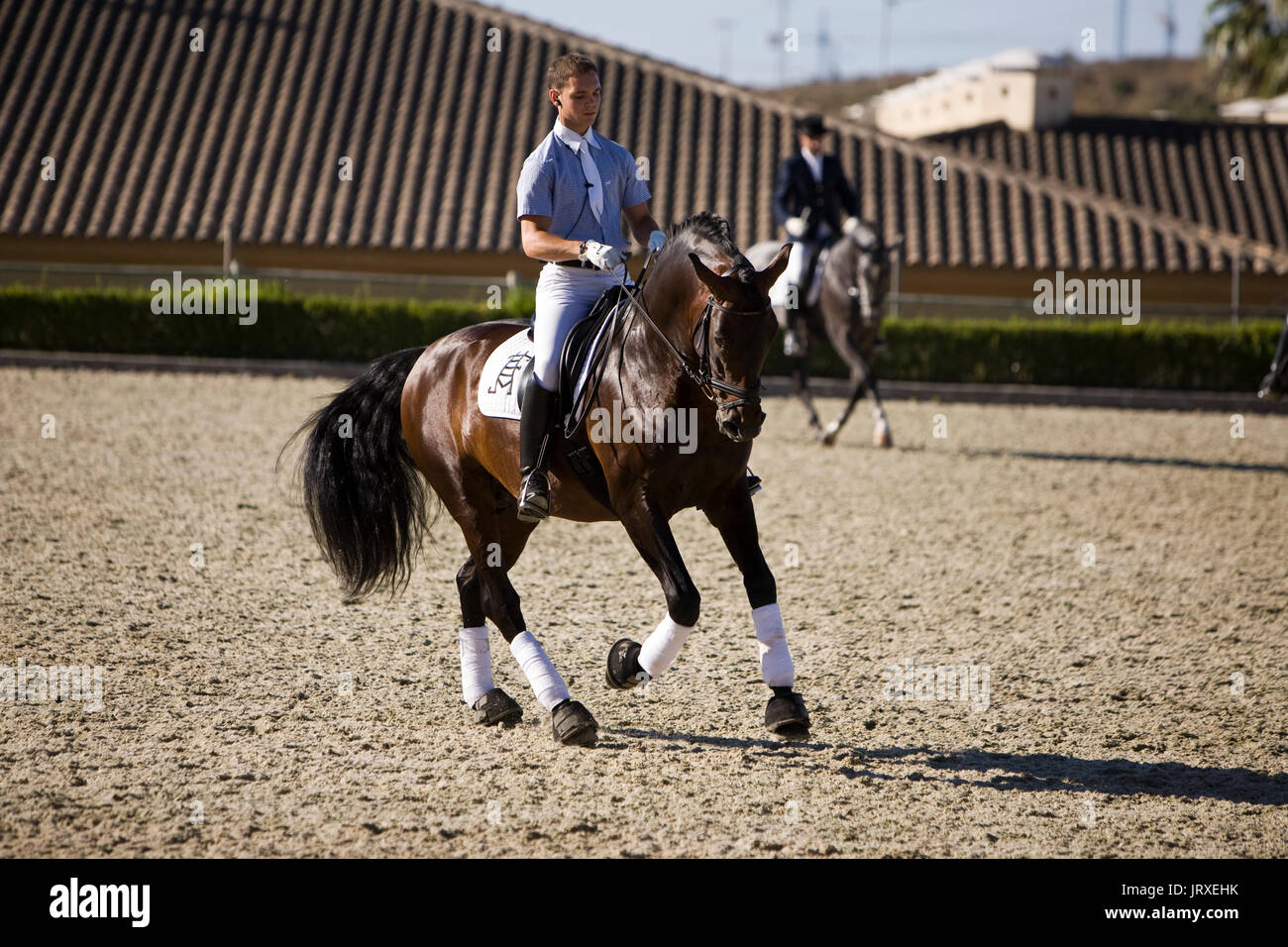 Schöne Amazon Training während einer Übung des Pferdesports Morphologie der Pferde der Reinen Spanischen Rasse in Estepona, Provinz Malaga, Andalusien, Spanien Stockfoto