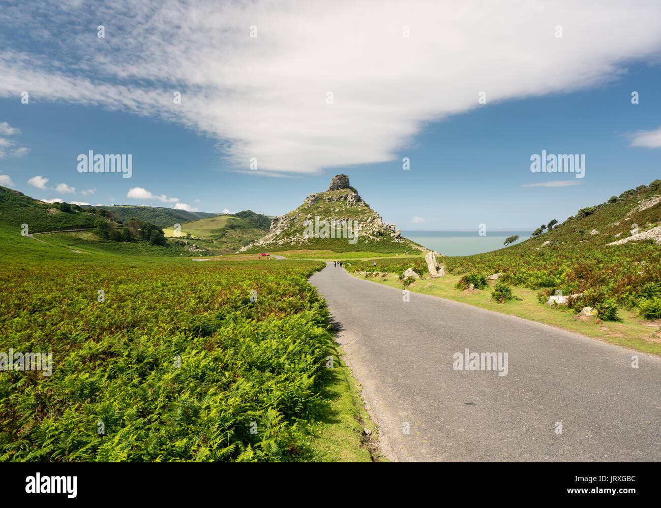 Einzigartige Struktur des Tal der Felsen in der nähe von Lynton, Devon Stockfoto