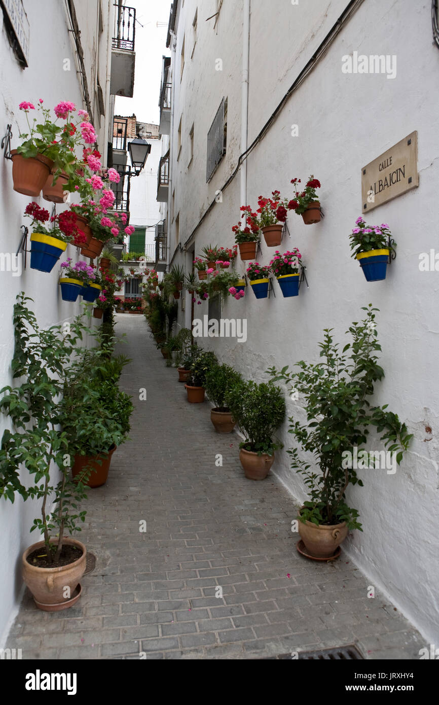 Typische Gasse mit Töpfen und weiß getünchten Wänden, weißen Andalusien Stockfoto