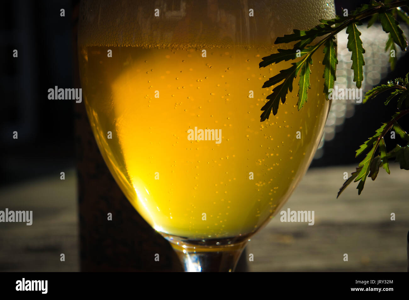 Glas mit kaltem Bier Stockfoto