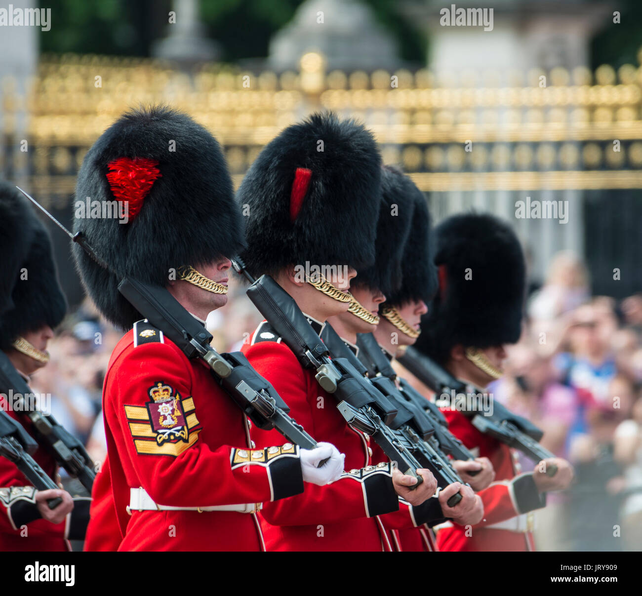 Die wächter der Königlichen Garde mit Gewehren, Royal Guard, den Wachwechsel, London, England, Vereinigtes Königreich Stockfoto