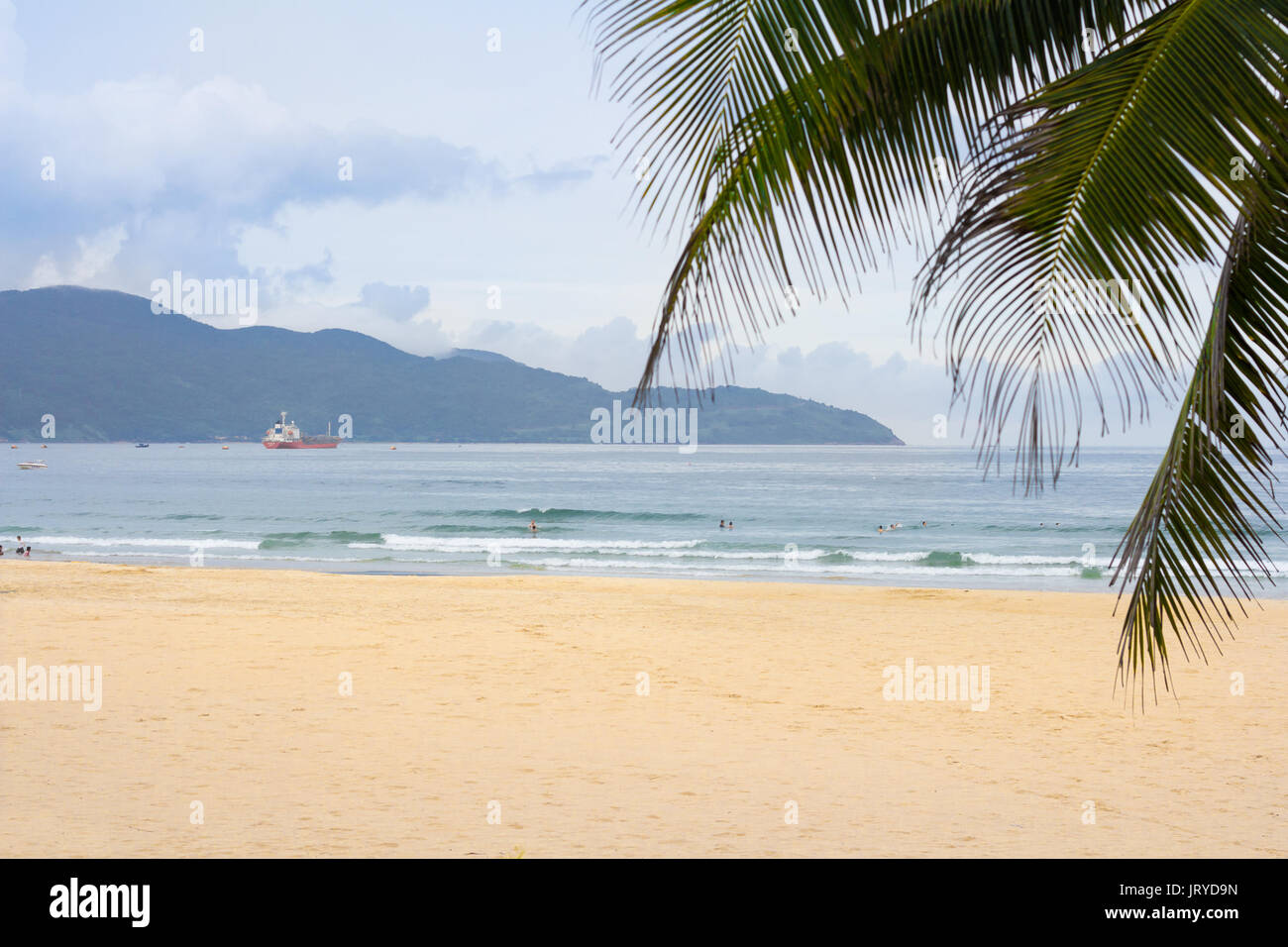 Palmenblättern und tropischen Strand auf bewölkten Tag Stockfoto