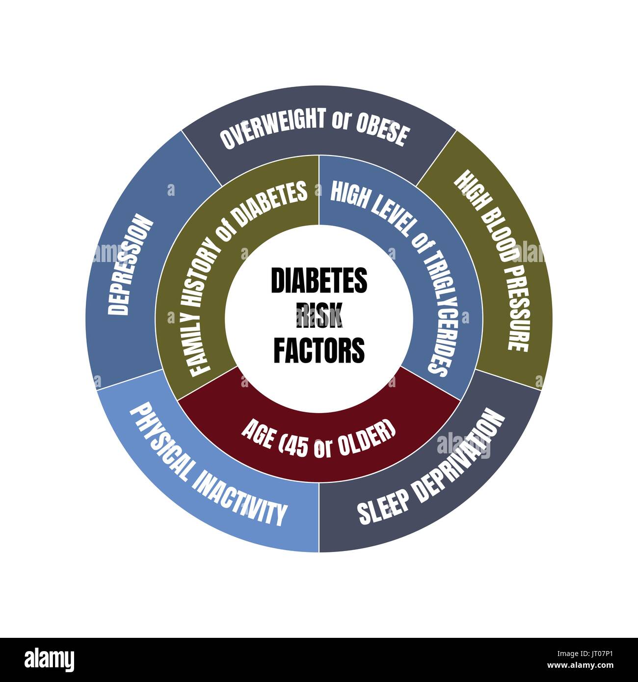 Diabetes Risikofaktoren Kreis Diagramm Stock Vektor