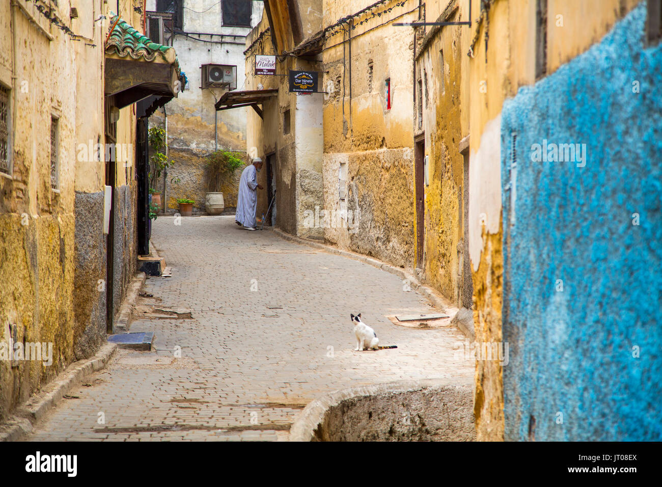 Das Leben auf der Straße. Souk Medina von Fes, Fes el Bali. Marokko, Maghreb Nordafrika Stockfoto