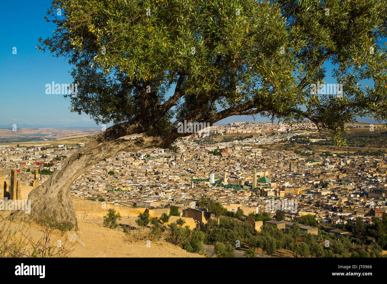 Landschaft, Panoramaaussicht, Souk Medina von Fes, Fes el Bali. Marokko, Maghreb Nordafrika Stockfoto