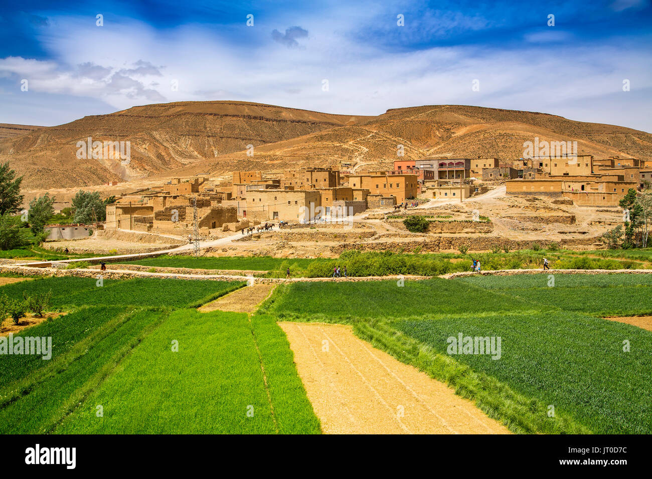 Landwirtschaft, Tilmi Bergdorf. Dades Tal, Dades Schluchten, Hohen Atlas. Marokko, Maghreb Nordafrika Stockfoto