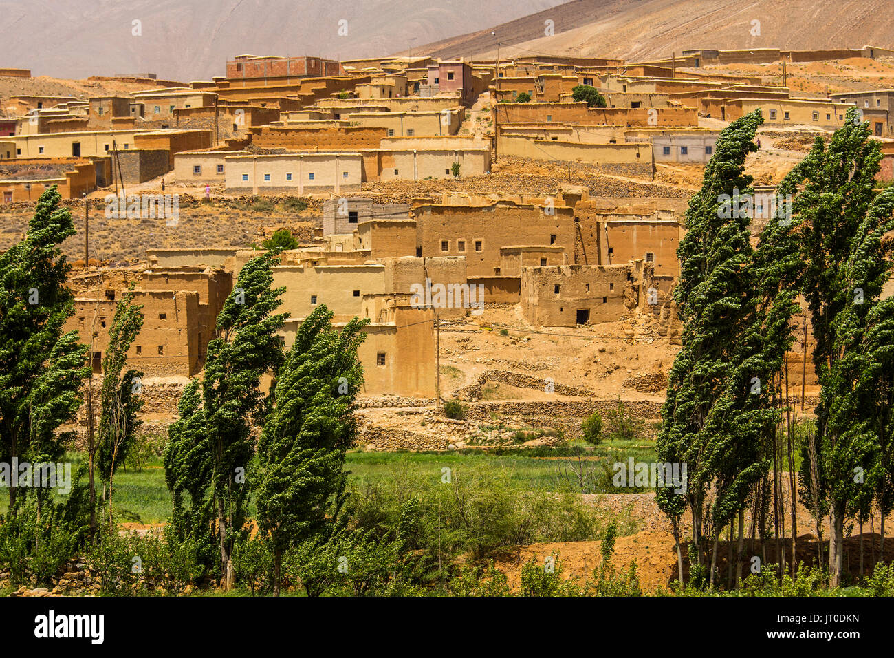 Landwirtschaft, Tilmi Bergdorf. Dades Tal, Dades Schluchten, Hohen Atlas. Marokko, Maghreb Nordafrika Stockfoto