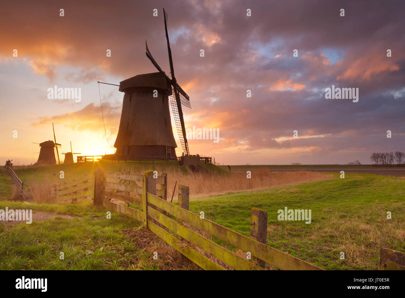 Traditionelle holländische Windmühlen bei Sonnenaufgang in der Nähe von Schermerhorn in den Niederlanden. Stockfoto