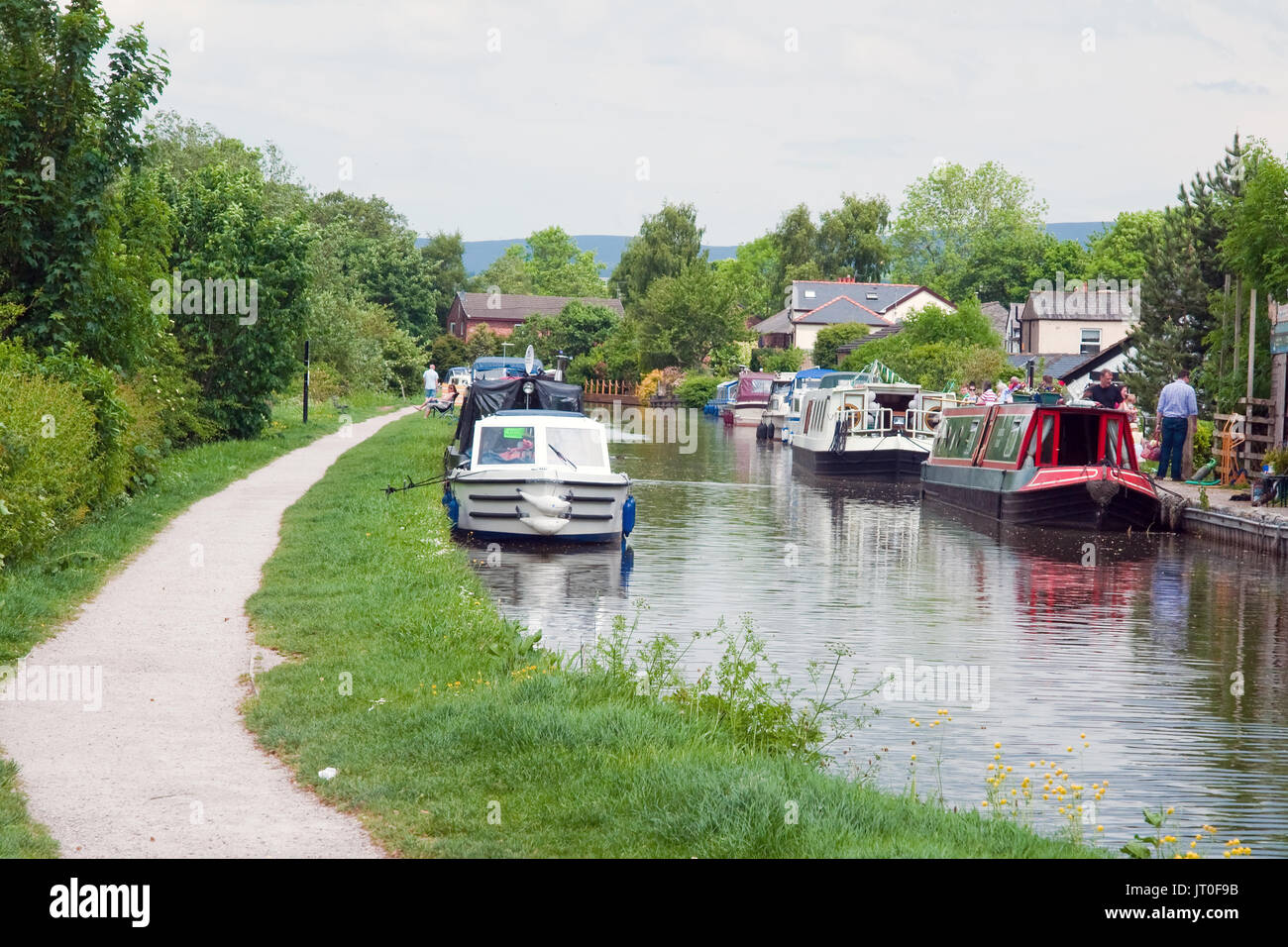 Canal Profil in Lancaster Canal an Bilsborrow, Lancashire günstig Stockfoto