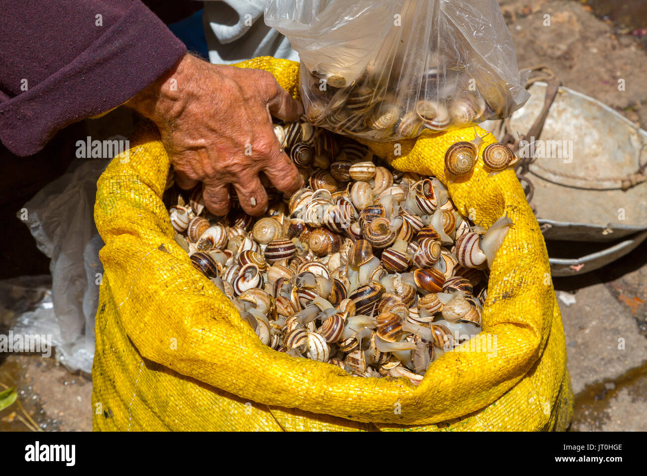 Das Leben auf der Straße. Mann verkauf von Schnecken, Souk Medina von Fes, Fes el Bali. Marokko, Maghreb Nordafrika Stockfoto