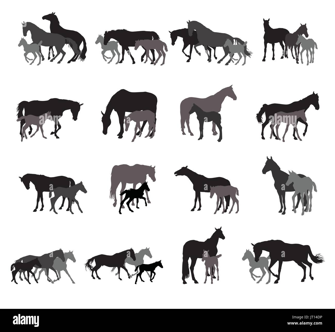 Gruppe von Schwarz und grau isoliert Silhouetten von Pferden (Hengste, Stuten und Fohlen) stehen, gehen, laufen auf weißem Hintergrund. Vektor-illustratio Stock Vektor