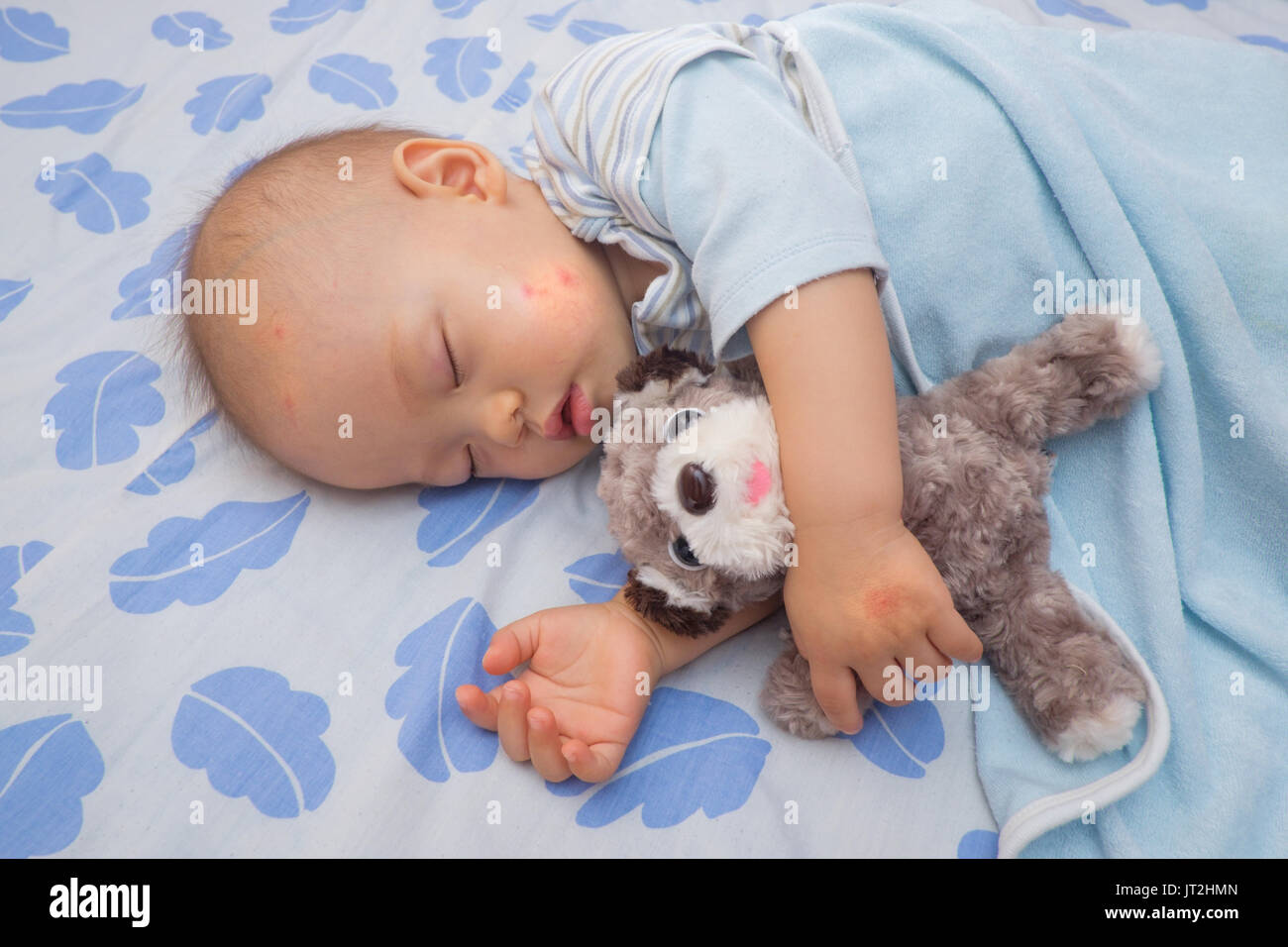 Schlafen asiatischen Baby mit roten Fleck von mückenstich auf einer Wange und Hand, Süße 12 Monate altes Kleinkind Junge ein Nickerchen halten Hund Spielzeug auf dem Bett Stockfoto