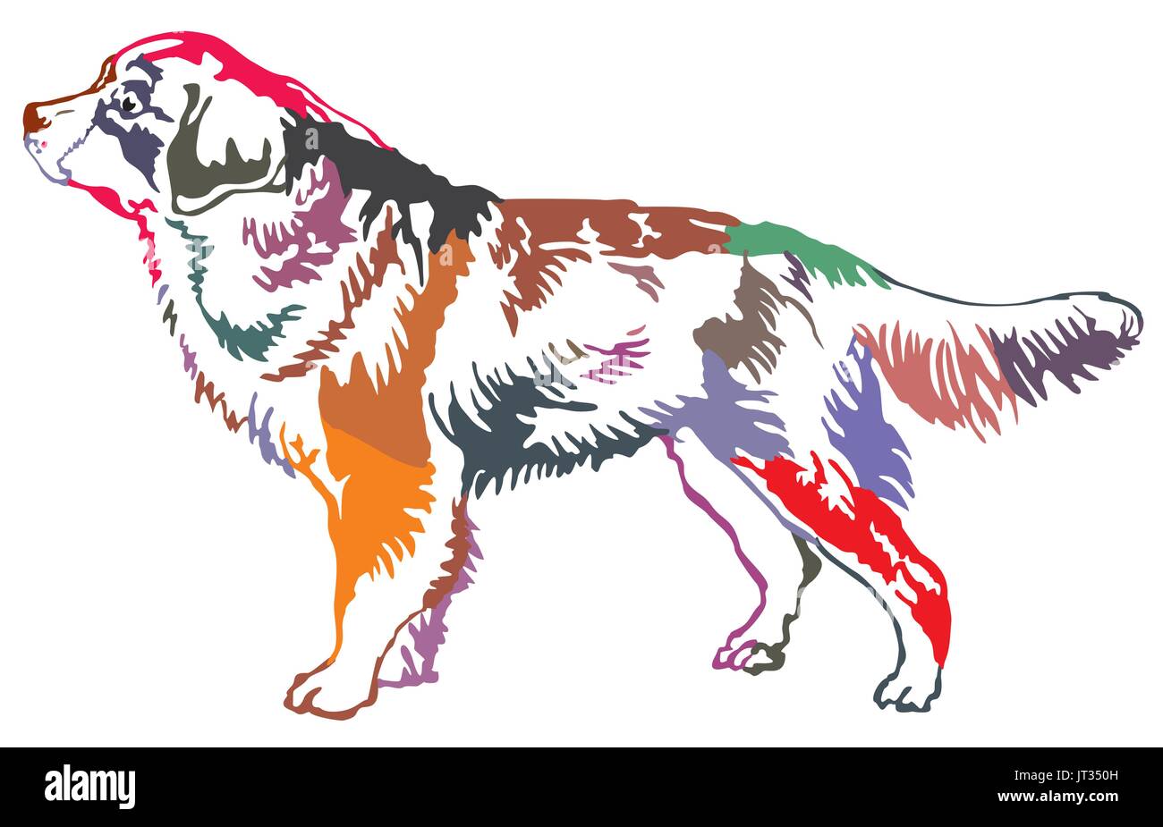 Bunte dekorative Porträt im Profil Berner Sennenhund, Vektorgrafik isoliert auf weißem Hintergrund stehen Stock Vektor