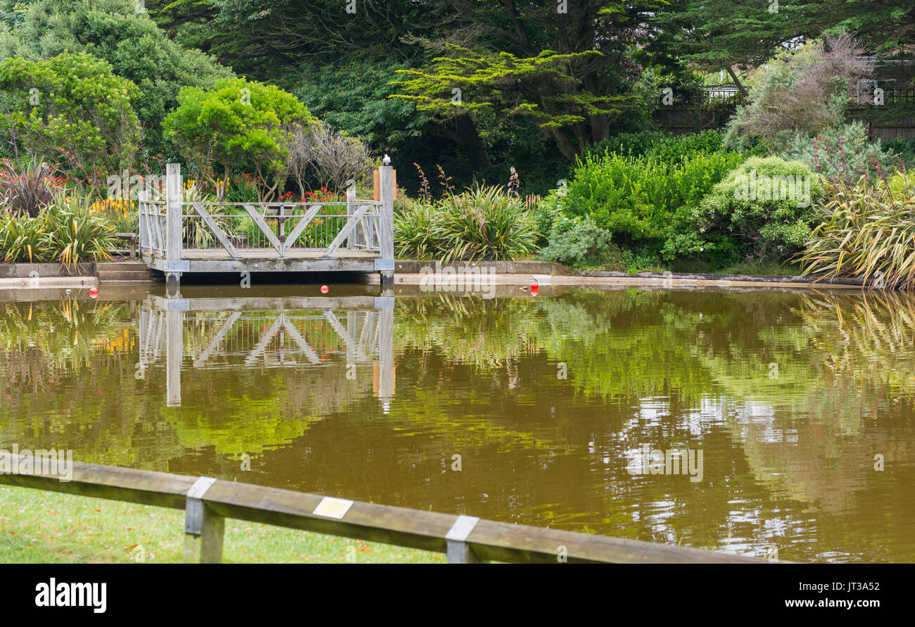 Braun verfärbt Wasser in Mewsbrook Park See in Littlehampton, West Sussex, UK, bei heißem Sommerwetter. Stockfoto