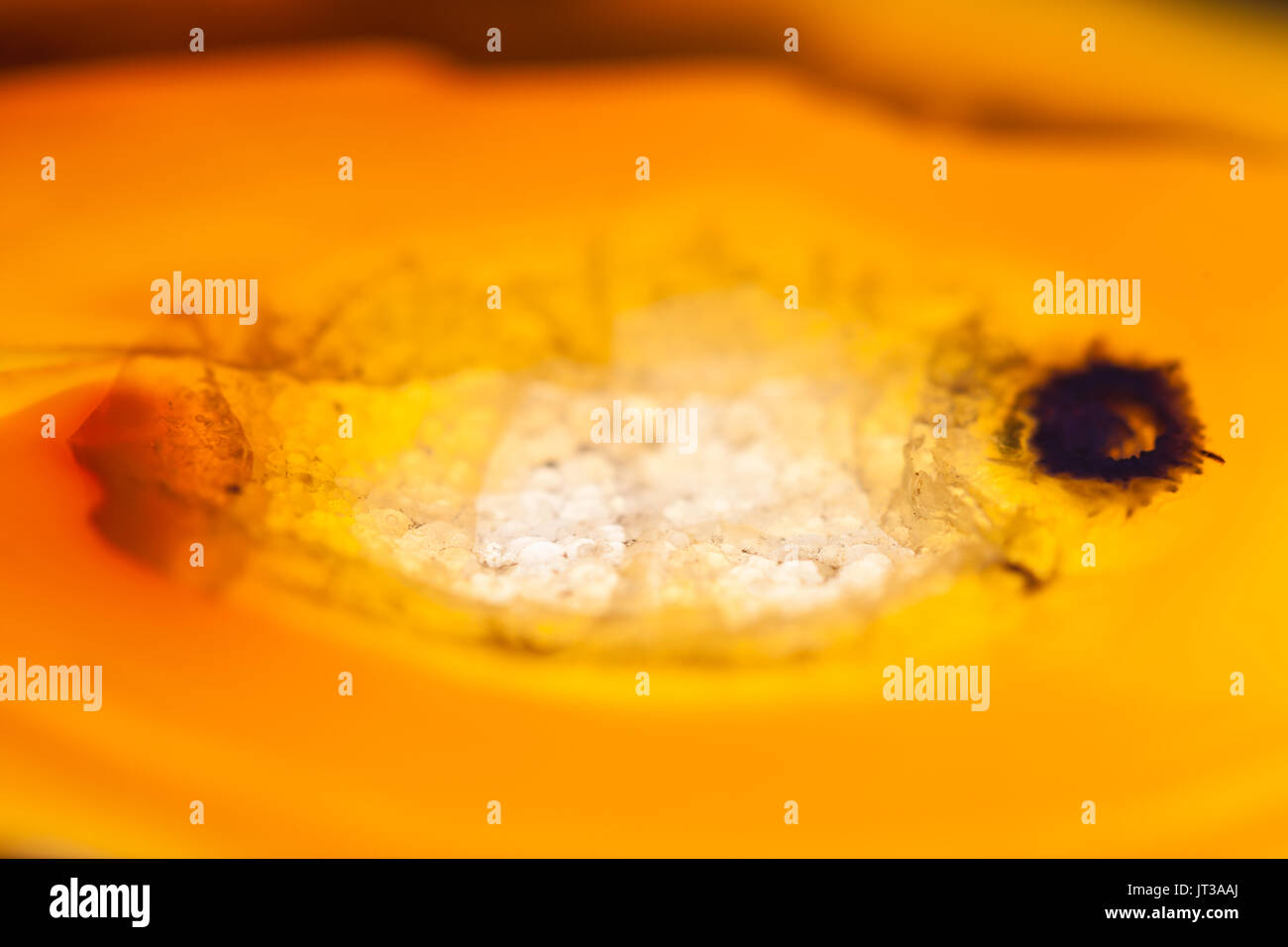 Extreme Makro von braunem Achat Scheibe Mineral, abstrakten Hintergrund Stockfoto