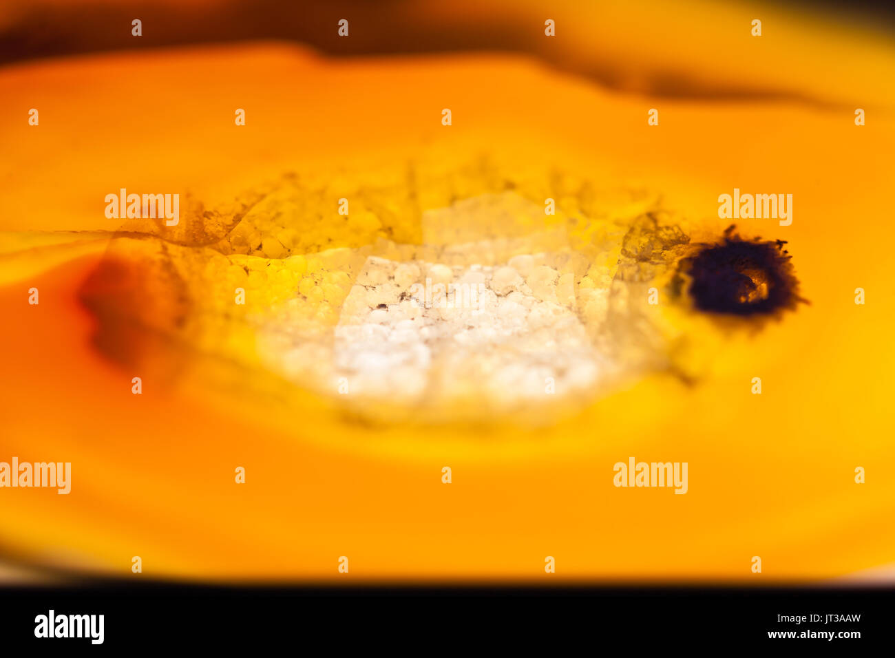 Extreme Makro von braunem Achat Scheibe Mineral, abstrakten Hintergrund Stockfoto