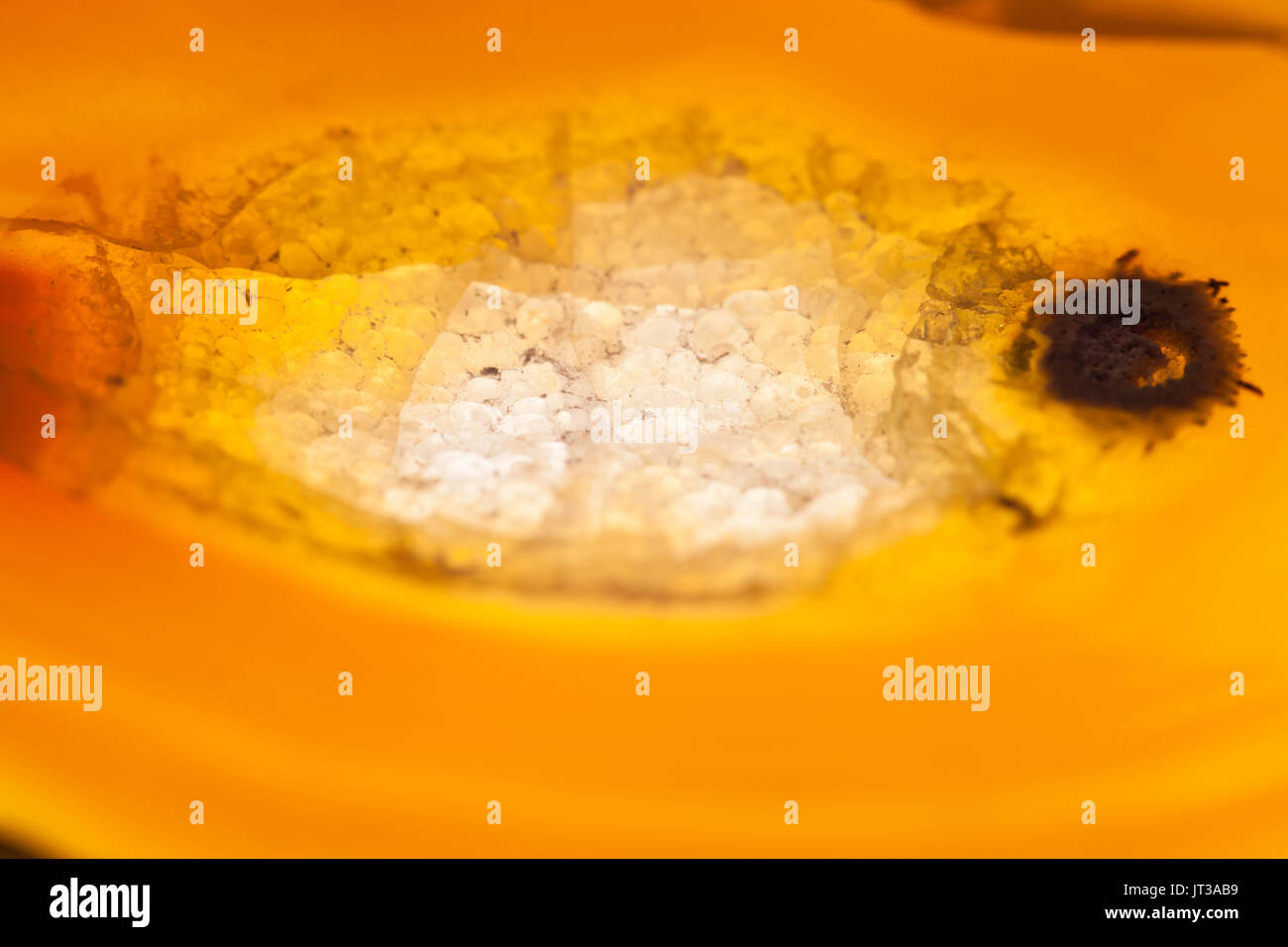 Extreme Makro von braunem Achat Scheibe Mineral, abstrakten Hintergrund Stockfoto